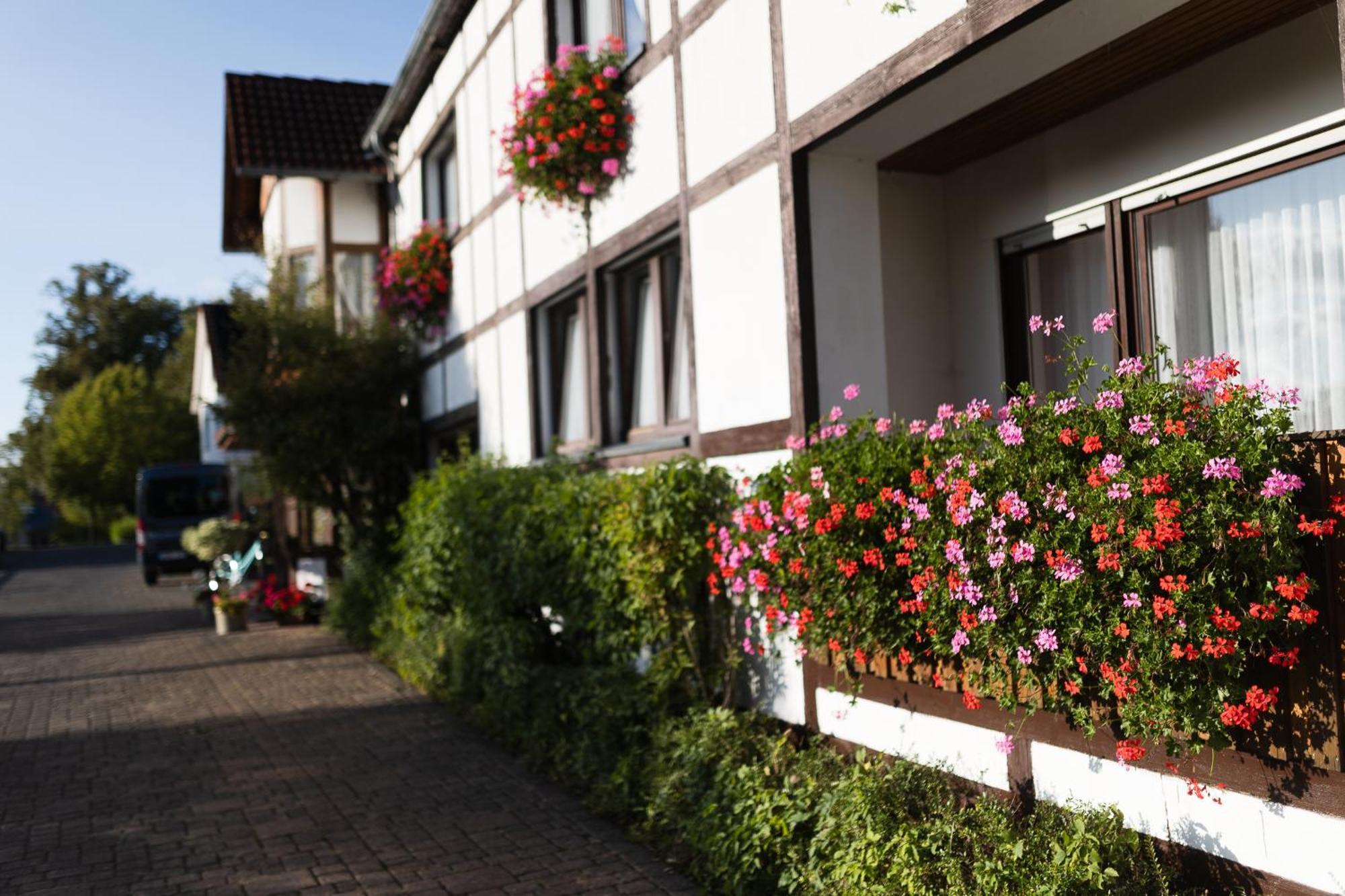 Pension Ridder Marienmünster 외부 사진